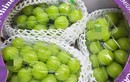 Nho mẫu đơn Hàn Quốc nửa triệu đồng/chùm ngon cỡ nào?