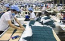 Mỹ áp thuế 46%: Ngành nào của Việt Nam bị ảnh hưởng?