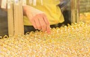 Giá vàng hôm nay 19/04: Vàng thế giới hạ nhiệt?