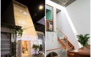 Nhà ống như đèn lồng lấp lánh trong hẻm nhỏ ở Nha Trang