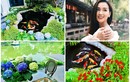 Biệt thự rực sắc hoa của “nữ diễn viên giàu nhất miền Bắc“