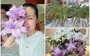 Ngôi nhà ngập hoa tươi của Ngọc Lan sau tuyên bố giải nghệ