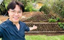Vườn rau xanh mướt tại Đà Lạt của “MC giàu nhất Việt Nam” 