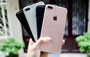 iPhone 7, 7 Plus giảm giá "sập sàn", cơ hội mua tuyệt vời