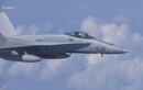 Vì sao F-18 NATO dám “vuốt mặt” chuyên cơ Bộ trưởng Quốc phòng Nga?