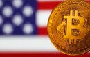 Tại sao Bitcoin vọt tăng khi ông Trump thắng cử Tổng thống Mỹ?