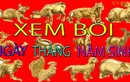 Xem bói tháng sinh âm lịch biết chính xác vận mệnh giàu nghèo sướng khổ 