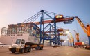 Cổ phiếu lao dốc, Gemadept muốn mua lại cổ phiếu quỹ