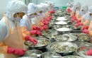 Lãnh đạo Camimex gửi tâm thư trấn an cổ đông