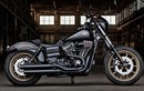 Chi tiết “cặp đôi” Harley-Davidson vừa ra mắt năm 2016