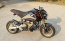 “Sốc” với Honda MSX 125 lắp máy siêu môtô Ducati 1199R 