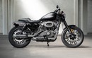 Harley-Davidson “trình làng” Roadster mới giá 250 triệu