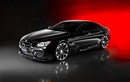 BMW M6 Gran Coupe độ “VIP” với gói Wald Black Bison