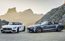 Mercedes “show hàng” siêu xe mui trần AMG GT Roadster