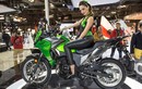 Kawasaki Versys-X 300 giá rẻ sắp về Việt Nam có gì?