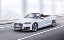 Mui trần “sang chảnh” Audi A5 Cabriolet sẵn sàng lộ diện