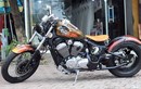 Honda Steed độ bobber, sơn airbrush chơi Tết tại Hà Nội