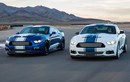 "Cơ bắp Mỹ” Mustang Shelby Super Snake 2017 giá 1,579 tỷ