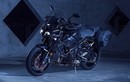 Siêu môtô Yamaha MT-10 có thêm bản “phượt” Tourer Edition