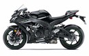 Kawasaki ZX-10RR giá 649 triệu, đắt ngang "xế hộp" tại VN