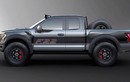 Ford F150 Raptor phiên bản siêu máy bay tàng hình F-22