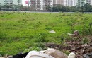 Điểm danh loạt siêu dự án của HUD “sa lầy” tại Hà Nội