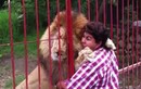 Clip: “Lạnh gáy” trước cảnh ôm hôn sư tử khổng lồ như bạn thân