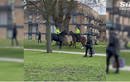 Chó Bully tấn công ngựa của cảnh sát Anh