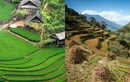 Choáng ngợp "ruộng bậc thang Việt Nam" trên dãy Himalaya