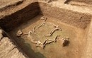 Khám phá lăng mộ ngựa có 1-0-2 ở Trung Quốc 