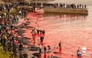 Cảnh thảm sát cá voi ở Faroe, bãi biển đỏ máu