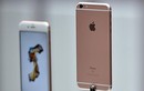 Lùng mua vỏ ốp iPhone 6S giả màu vàng hồng