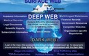 Khám phá thế giới ngầm dark web qua hình ảnh