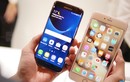 So sánh Galaxy S7 Edge vs iPhone 6s Plus: Chạm trán nảy lửa