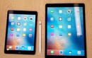 Còn ai quan tâm máy tính bảng iPad tại Việt Nam?