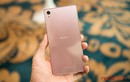Trên tay điện thoại Xperia Z5 Premium màu hồng, giá giảm 2 triệu