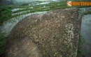 Tận mục bãi đá cổ bí ẩn nhất Việt Nam