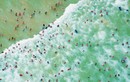 Hình ảnh những bãi biển đẹp tuyệt chụp bằng flycam