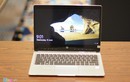 Ngắm siêu laptop HP EliteBook Folio G1 giá 40 triệu ở VN