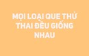 Những điều mà phụ nữ nào cũng nên biết về việc thử thai