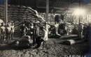 Soi nền kinh tế lúa gạo sầm uất ở Chợ Lớn năm 1925