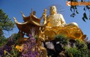 Đầu xuân chiêm ngưỡng tượng Phật vàng trứ danh Việt Nam