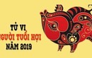 Tử vi tuổi Hợi năm 2019: Phúc hoạ khôn lường, hết sức cẩn trọng