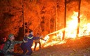 Cận cảnh 20 tiếng trong biển lửa ở vụ cháy rừng thông Hồng Lĩnh