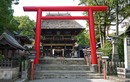 Giải mã cánh cổng Torii thần thánh ở các đền thờ Nhật Bản