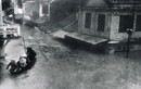 “Đại họa năm Thìn” 1964 tàn khốc đến mức nào?