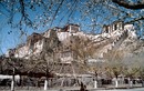 Ảnh đẹp hiếm có về cuộc sống ở Tây Tạng năm 1985 