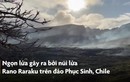 Video: Tượng đá trên đảo Phục Sinh hỏng nặng do cháy rừng