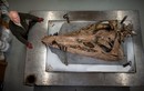 Hóa thạch hộp sọ khủng của loài quái vật biển hung dữ nhất kỷ Jura
