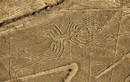 Giải thích chấn động về hình vẽ khổng lồ ở cao nguyên Nazca 